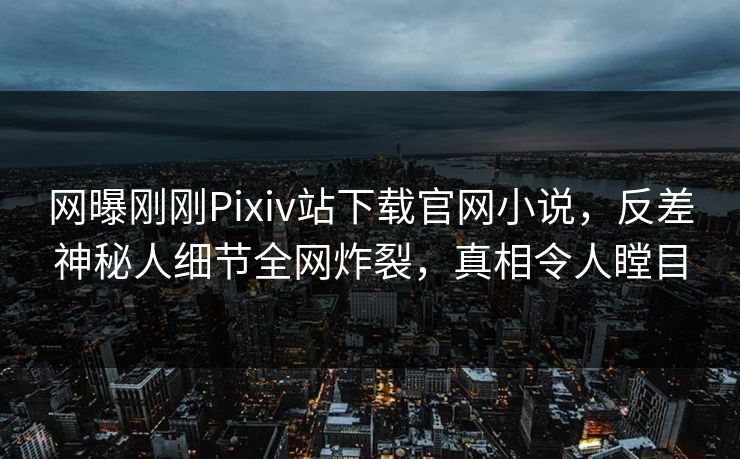 网曝刚刚Pixiv站下载官网小说，反差神秘人细节全网炸裂，真相令人瞠目
