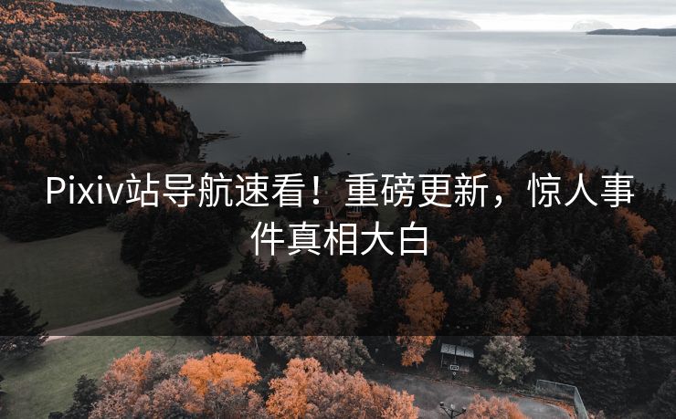 Pixiv站导航速看！重磅更新，惊人事件真相大白