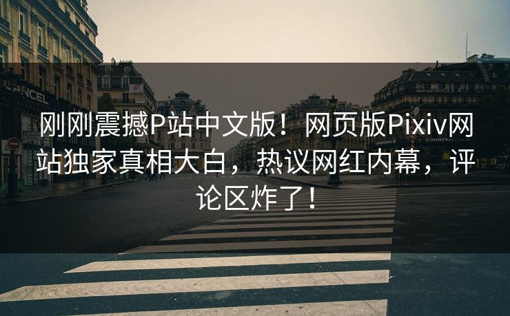 刚刚震撼P站中文版！网页版Pixiv网站独家真相大白，热议网红内幕，评论区炸了！
