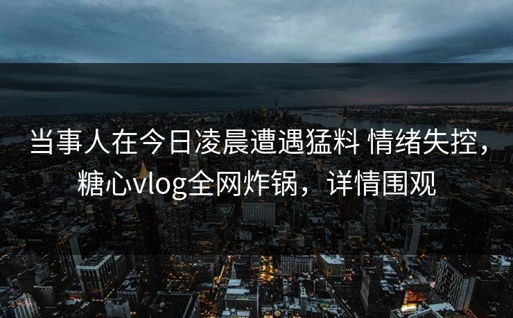 当事人在今日凌晨遭遇猛料 情绪失控，糖心vlog全网炸锅，详情围观