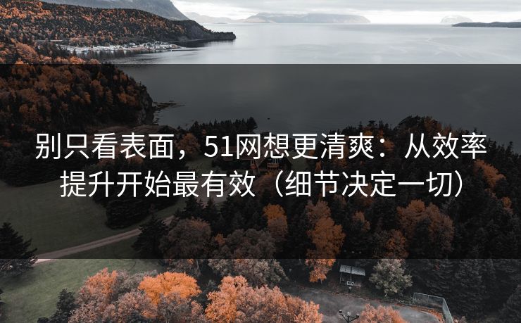 别只看表面，51网想更清爽：从效率提升开始最有效（细节决定一切）