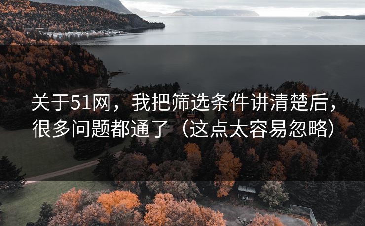 关于51网，我把筛选条件讲清楚后，很多问题都通了（这点太容易忽略）